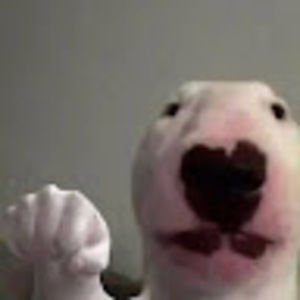 Meet your Posher, Tereesa